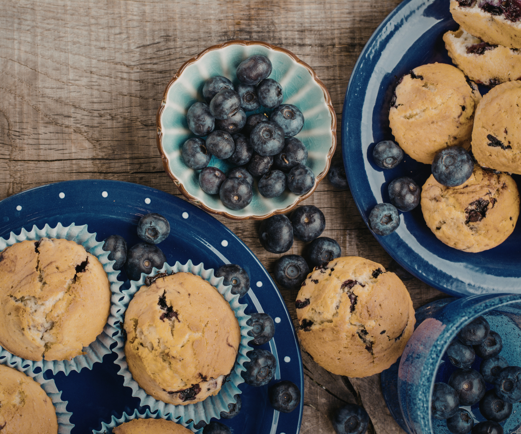 Blueberry Breakfast Muffins: Supporting Cellular Health