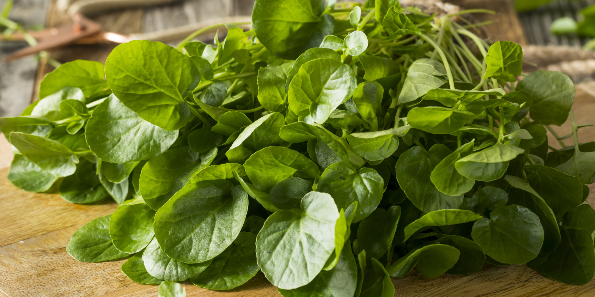 Watercress Salad Bowl Recipe