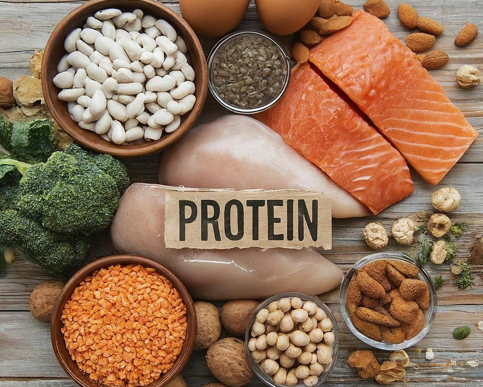 The Importance of Protein for Cancer Survivors